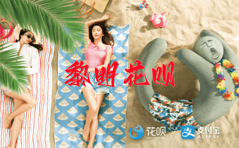 萍踪浪迹花呗